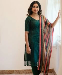 Ekanta Dainika - Net Sequins With Multicolor Green Margazhi Moments