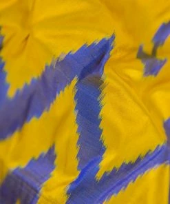 Tashi Threads Blue & Yellow Pochampally Saree Sarees