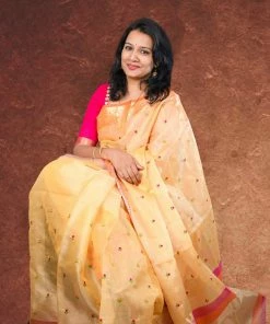 Tashi Threads Sarees Kota Tissue Silk Saree - Yellow
