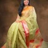 Tashi Threads Kota Tissue Silk Saree - Pastel Green