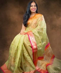 Tashi Threads Kota Tissue Silk Saree - Pastel Green